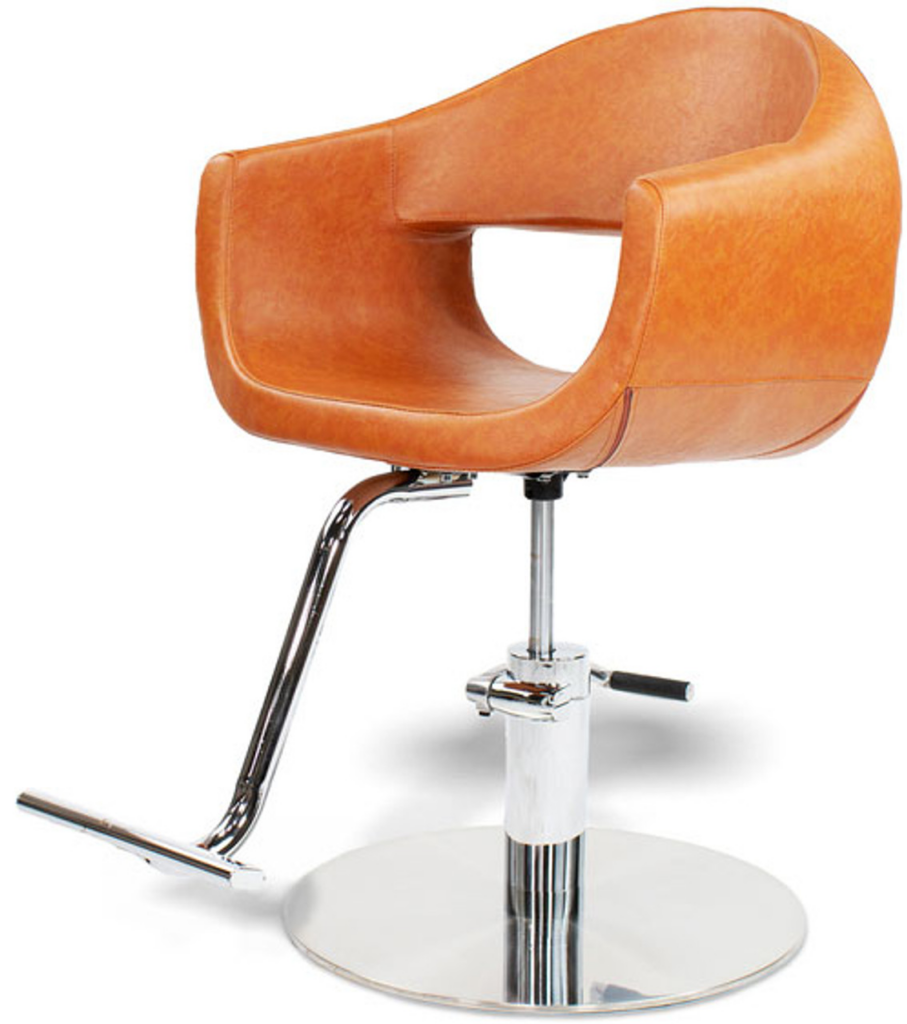 Salon Styling Chair 3